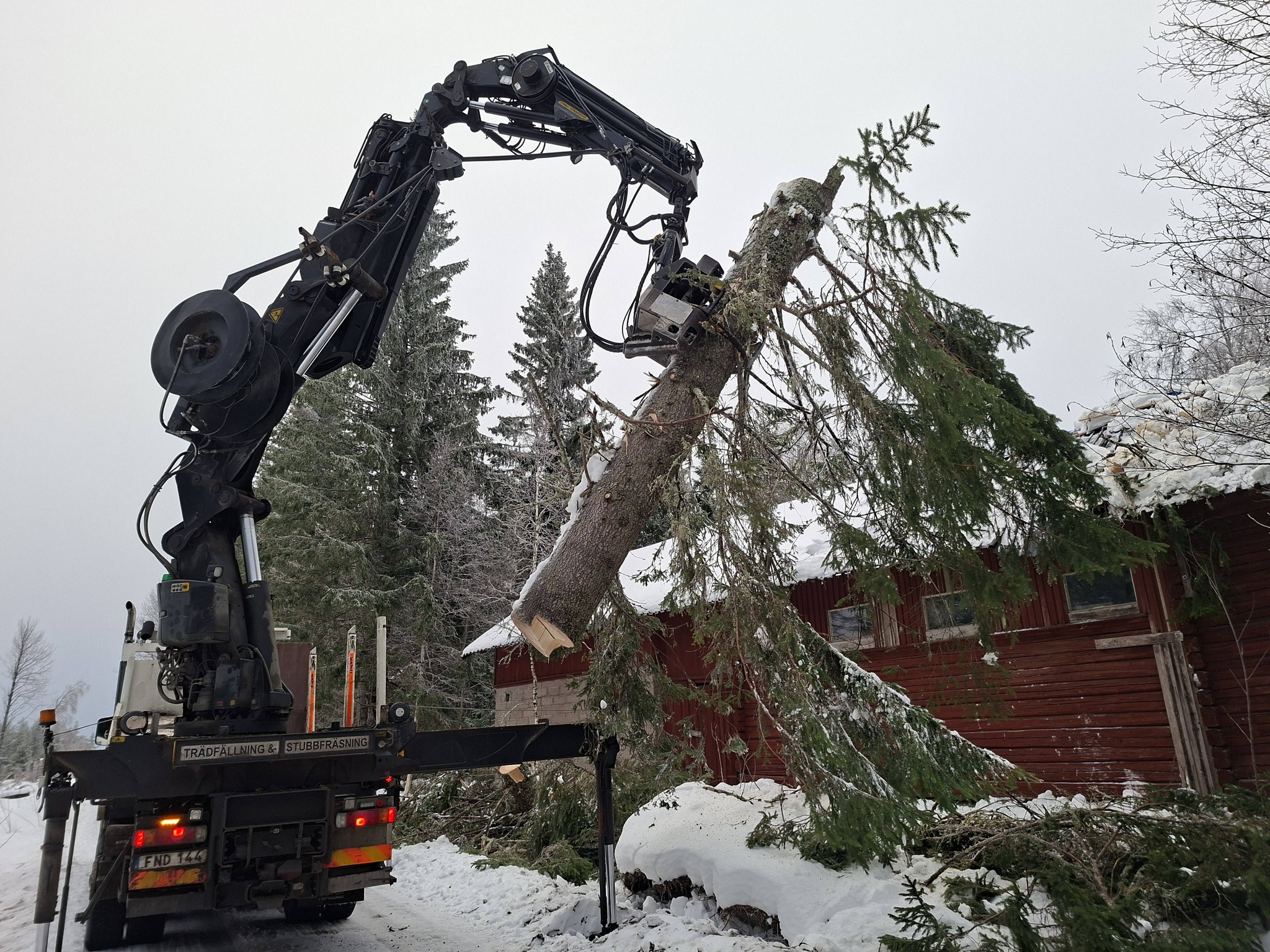 616810428 1541700031293710 3013786321671354607 n