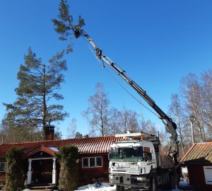 480592316 8890618787713306 1216525261739489479 n