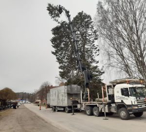 491326701 1276038971193152 6047453861703796031 n