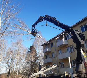 501182583 1319777473485968 1699370102091349147 n