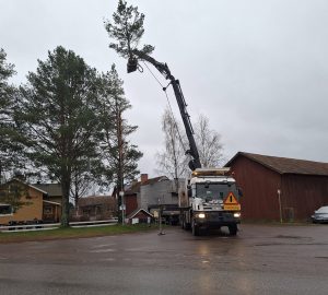 615819256 1537878111675902 1073961641778523114 n