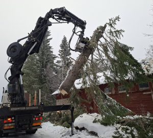 616810428 1541700031293710 3013786321671354607 n