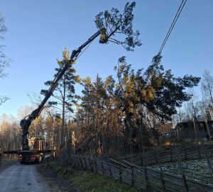 616819077 1537878275009219 1171697646207338228 n