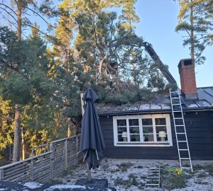 616823774 1537878371675876 2277975150494307730 n